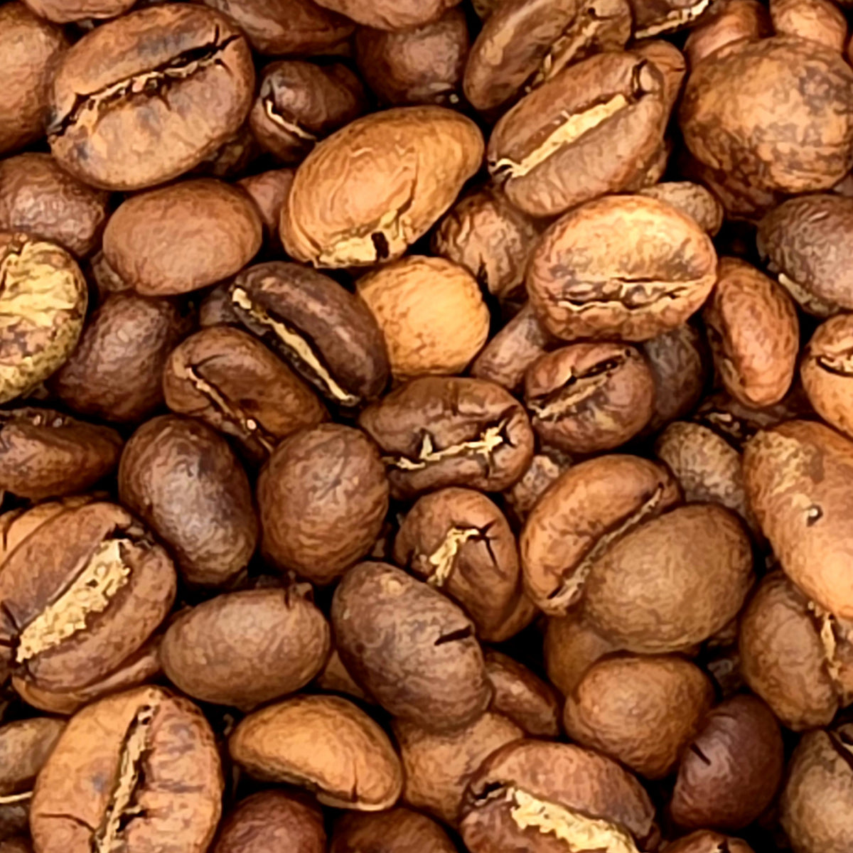 A close-up pile of roasted coffee beans in shades of medium to dark brown with lighter tan highlights.