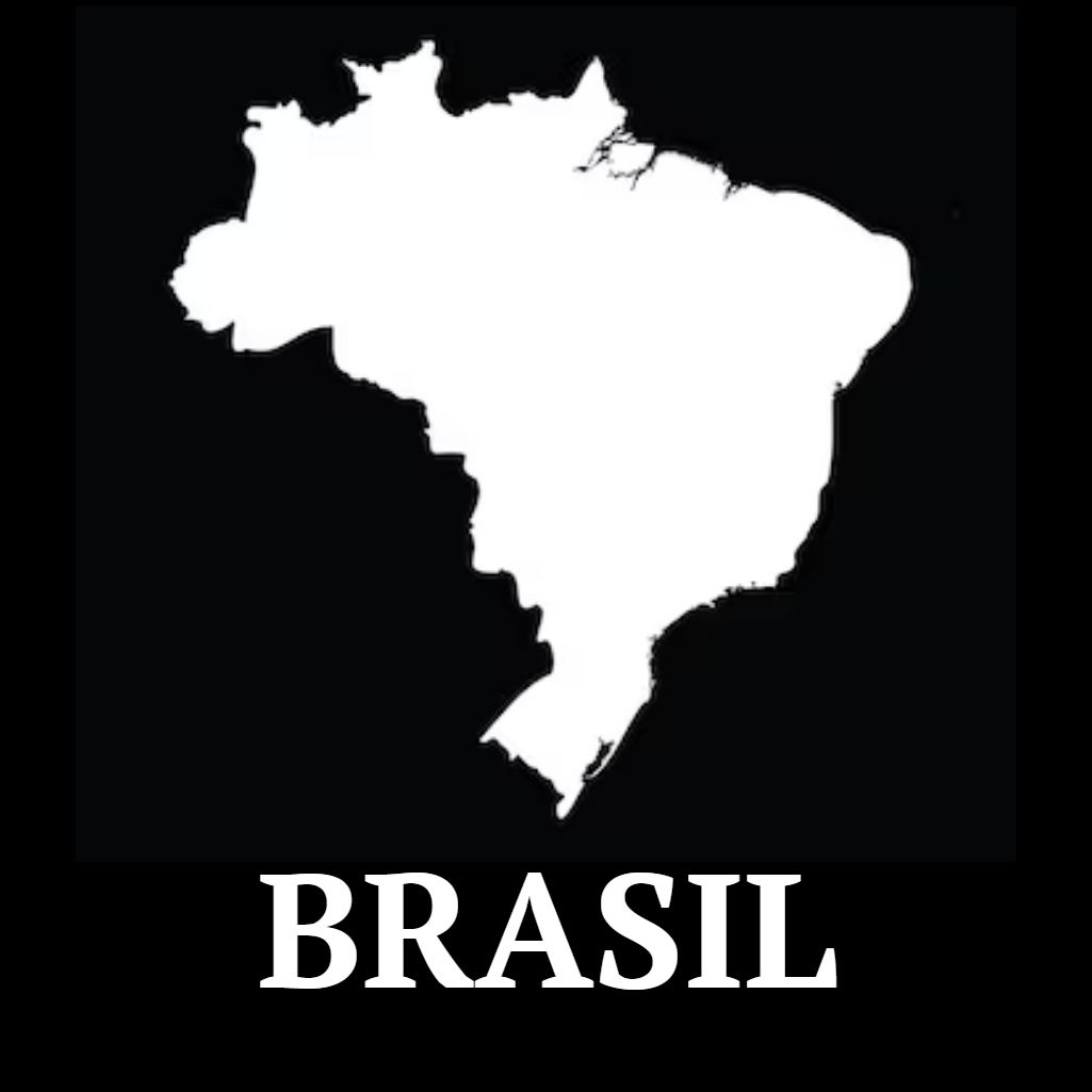 White outline of Brazil on a black background with 'BRASIL' text below