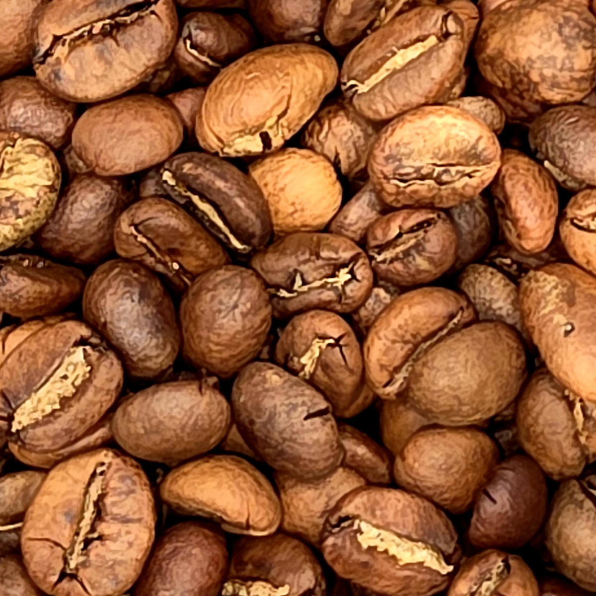 A close-up pile of  cowboy cut medium roasted coffee beans in shades of medium to dark brown with lighter tan highlights.