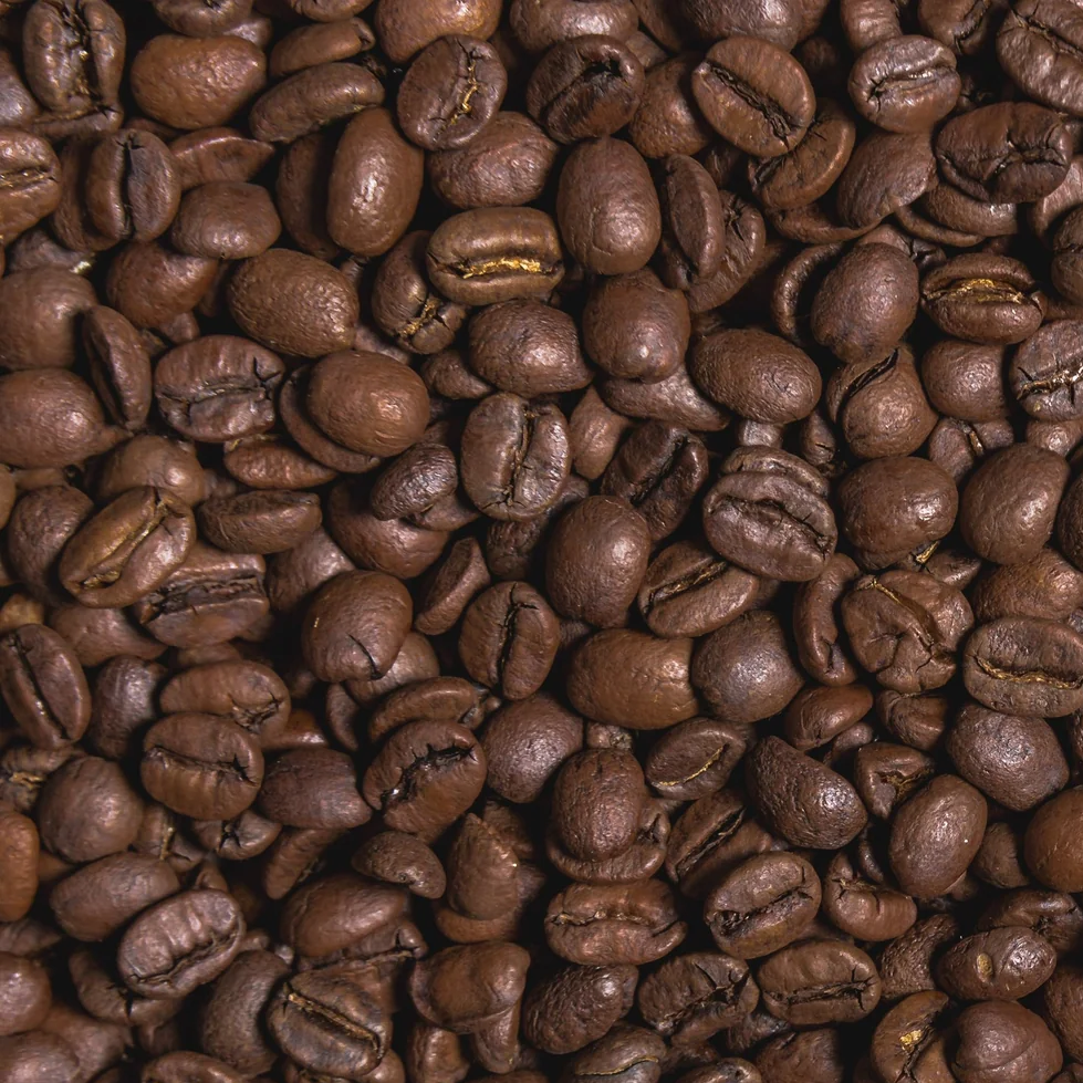 Close-up of medium dark roasted coffee beans