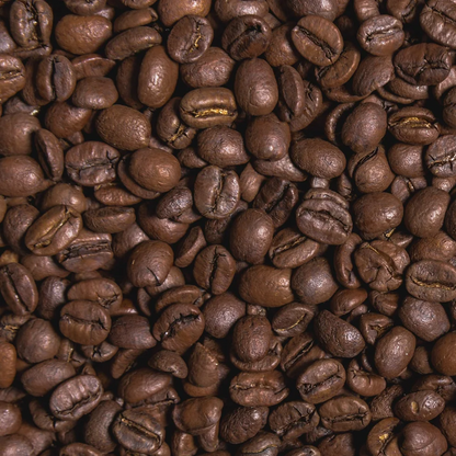 Close-up of medium dark roasted coffee beans