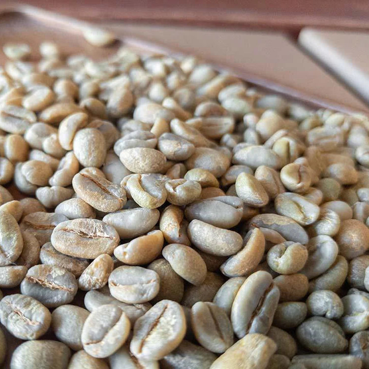 Unroasted coffee beans on a wooden surface in Ethiopia