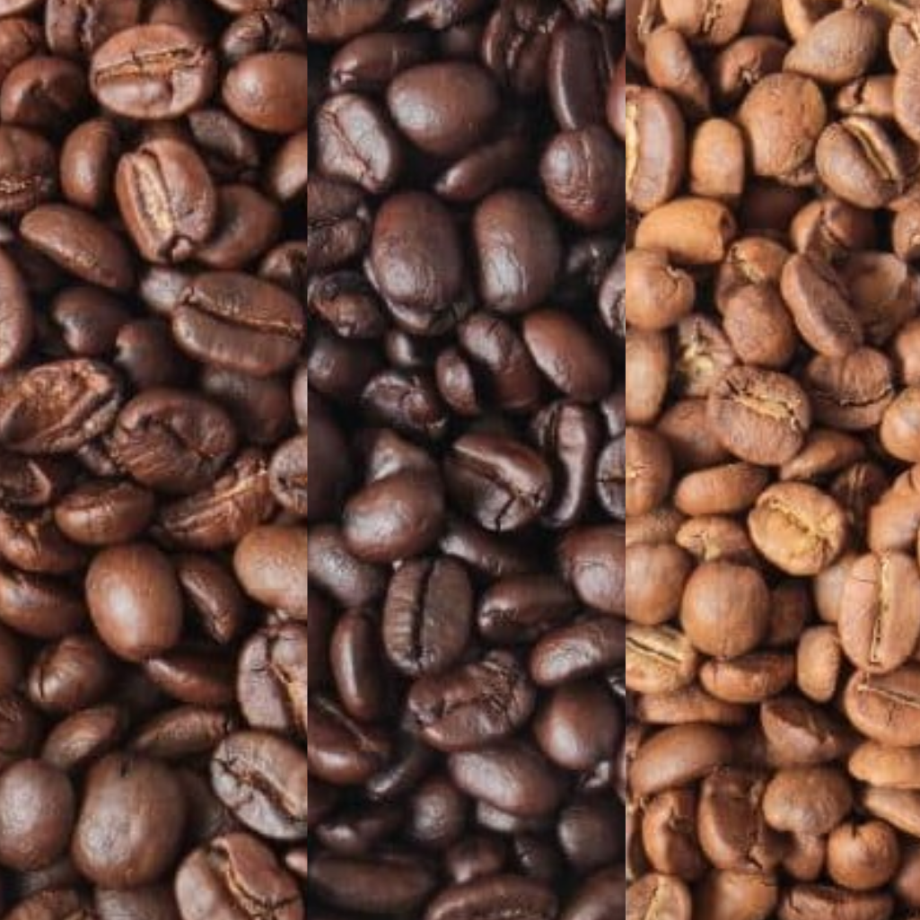 Three different types of coffee beans arranged in a row.