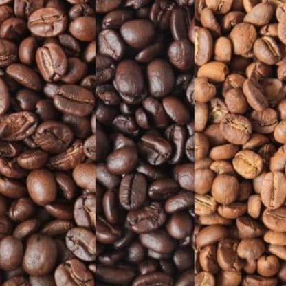 Three different types of coffee beans arranged in a row.