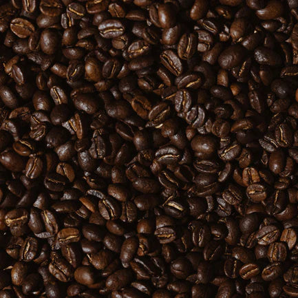 Close-up of dark roasted coffee beans