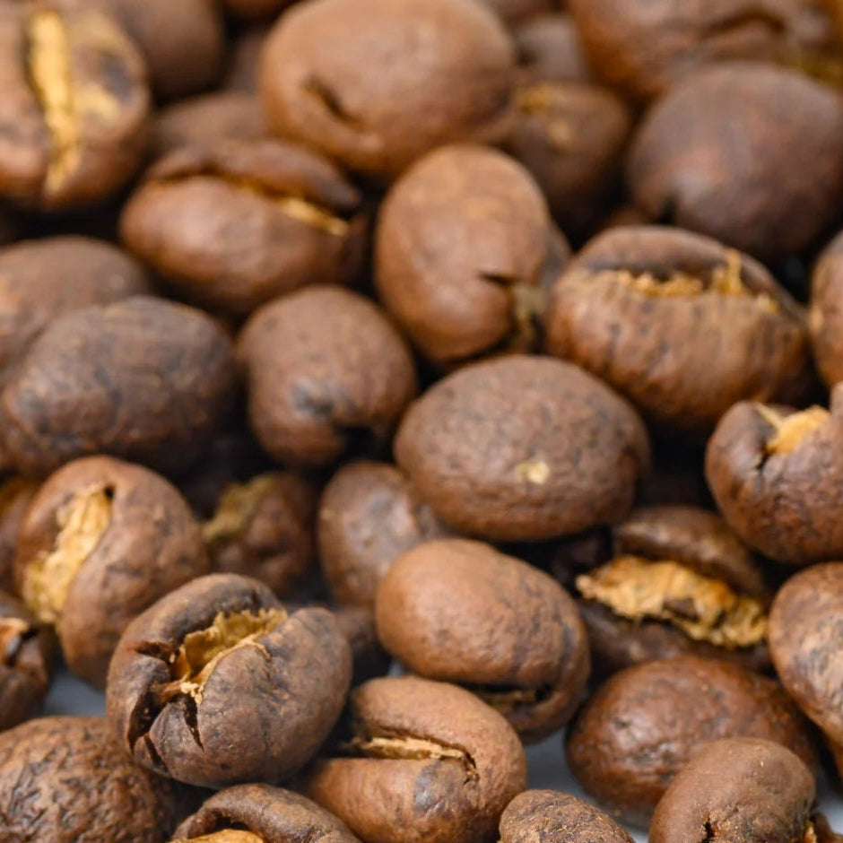 Close-up of medium roasted tanzania coffee beans on a white background