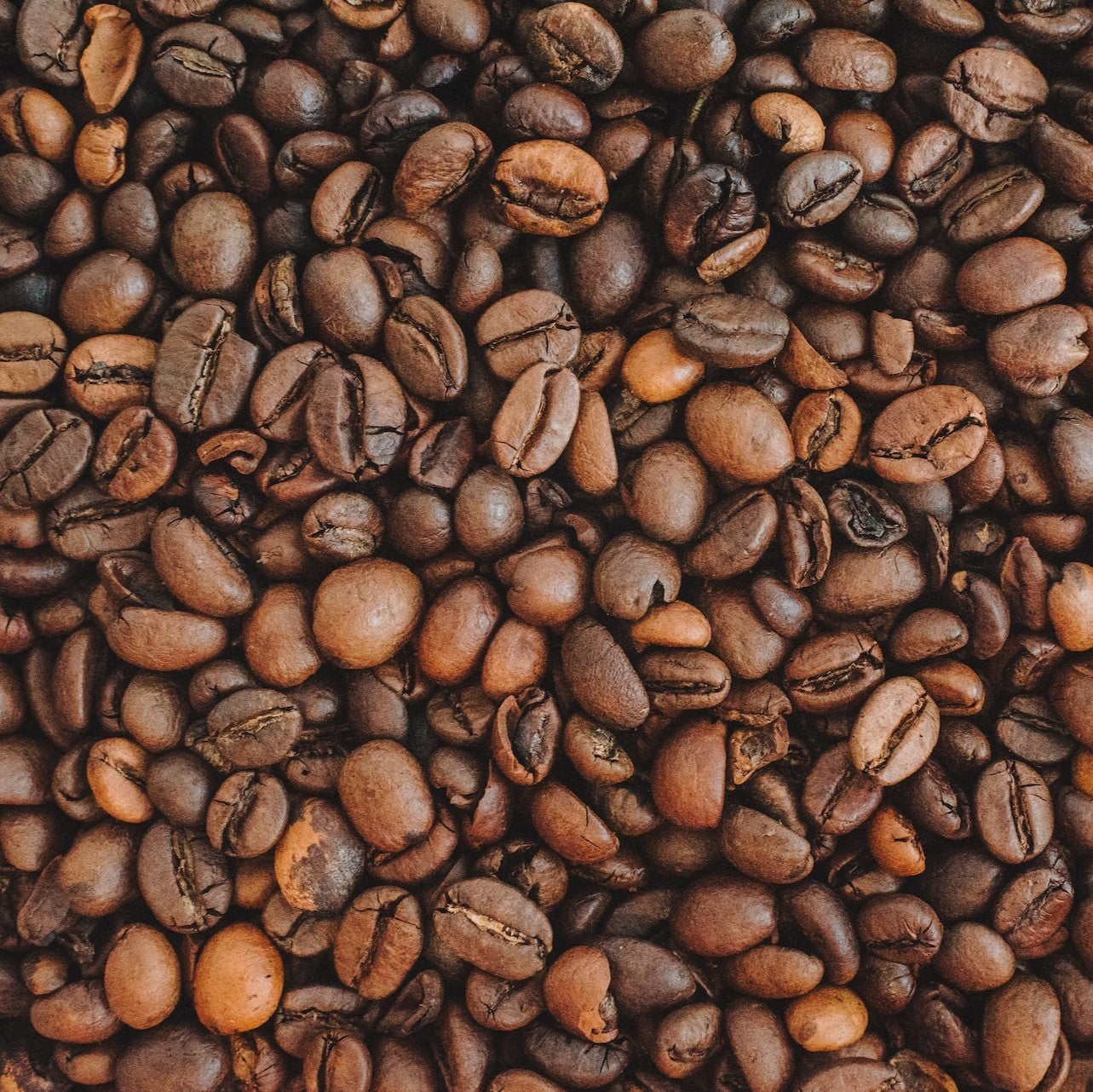 Close-up of roasted Tanzania coffee beans with a focus on texture and color variation.