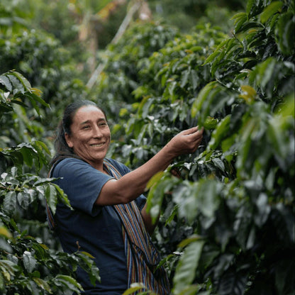 Woman working in a coffee plantation in Peru
