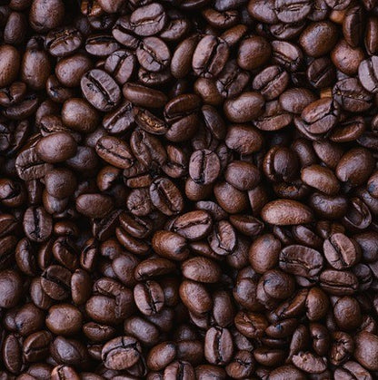 Close-up of medium roasted coffee beans from Honduras