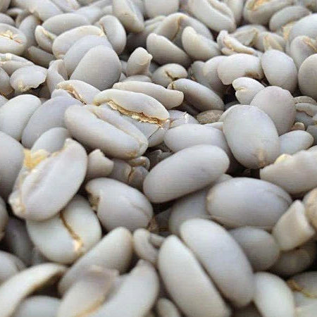 Close-up of Giling Basah coffee beans prior to processing
