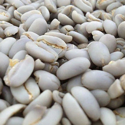 Close-up of Giling Basah coffee beans prior to processing