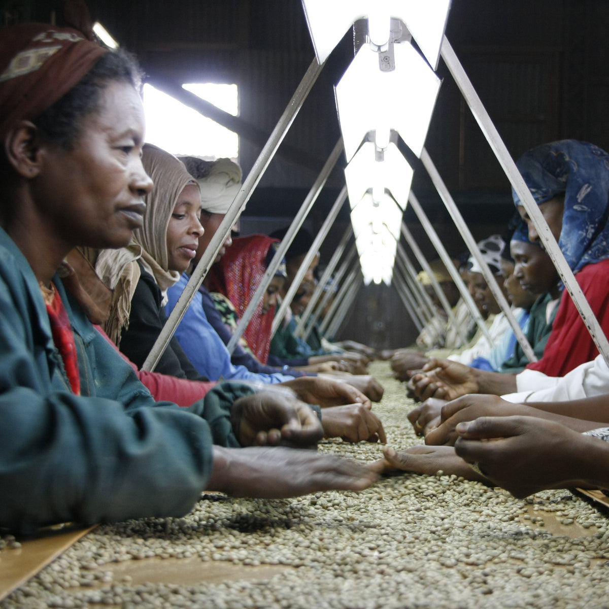 Workers sorting beans in a factory setting in Sumatra
